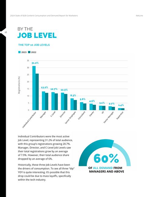 Netline 2024年B2B内容使用与需求报告 数字文化创意内容应用服务的变革与机遇