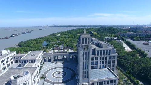 沪上力量再集结，数字创意赋新能——上海市红色文化传播志愿服务联盟在宝山成立